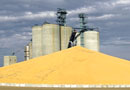 etruriasali centro raccolta cereali Etruriasali centro raccolta cereali